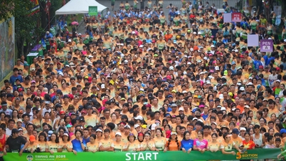 Marathon in Ninh Binh sets record for competing athletes