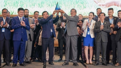 فاز أرز ST25 الفيتنامي بالجائزة الأولى في مسابقة أفضل أرز في العالم للمرة الثالثة.