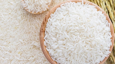 El arroz ST25 continúa ganando el primer premio en el concurso al Mejor Arroz del Mundo en 2025.