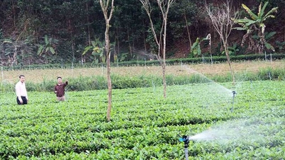Công tác tín dụng chính sách xã hội góp phần quan trọng vào mục tiêu giảm nghèo bền vững