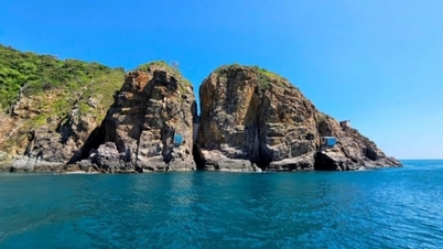 Phát triển bền vững nghề nuôi chim yến tỉnh Khánh Hòa