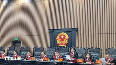 Bài 2: “Mở đường” - Định hình lại bản đồ tư pháp Việt Nam