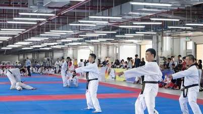 Taekwondo ຮ່າ​ໂນ້ຍ: ​ໄດ້​ຮັບ​ມາດຕະຖານ​ການ​ເຄື່ອນ​ໄຫວ, ບຳລຸງ​ສ້າງ​ຄວາມ​ມຸ່ງ​ມາດ​ປາດ​ຖະໜາ​ບັນລຸ​ລະດັບ​ສາກົນ