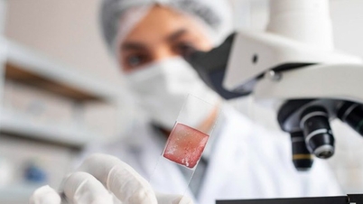 เป็นไปได้ไหมที่จะรักษามะเร็งโดยการจัดการไมโครไบโอมในเนื้อเยื่อเนื้องอก?