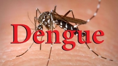 Vietnam zahajuje klinické testy nové vakcíny proti horečce dengue.