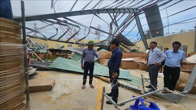 Gia Lai: Pilnie ewakuuj niezbędne towary przed prognozowanymi ulewnymi deszczami w Parku Przemysłowym Nhon Hoi