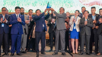 Vietnamská rýže ST25 i nadále získává ocenění za nejlepší rýži na světě.