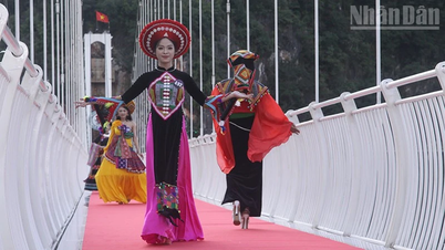 ミスベトナム2025の最終ラウンドがモクチャウ島で開催されました