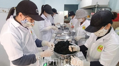 Dzielnica Dong Ninh Hoa: Kobiety wspierają się nawzajem, aby się rozwijać