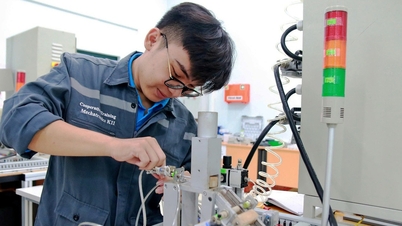 Školení vysoce kvalifikovaných pracovníků: Klíčem je iniciativa