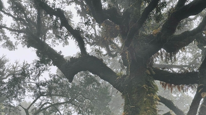 Sa Mu: Erobringen av den 2756 meter høye fjelltoppen blant skyene i nordvest