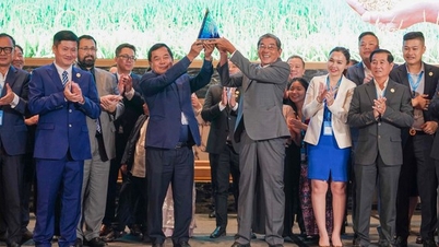 ເຂົ້າ ST25 - ຜົນສຳເລັດການຄົ້ນຄວ້າວິທະຍາສາດຂອງຫວຽດນາມ ສືບຕໍ່ໄດ້ຮັບລາງວັນ “ເຂົ້າດີທີ່ສຸດໃນໂລກ”