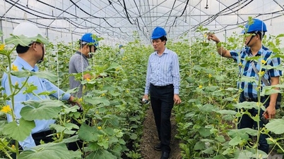 Đồng Nai tăng tốc chuyển đổi số: từ trang trại thông minh đến dịch vụ công trực tuyến