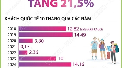 Khách quốc tế đến Việt Nam tăng mạnh trong 10 tháng năm 2025