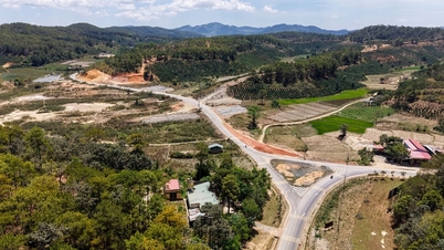 ខ្សែជីវិតក្នុងគ្រោះធម្មជាតិ