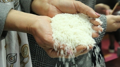 Welk land heeft de beste rijst ter wereld?