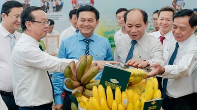 Ho Chi Minh Şehri yeşil ve sürdürülebilir ekonomik kalkınmada çığır açıyor