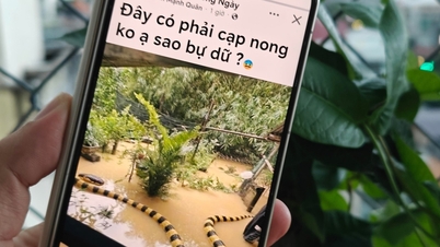 ពីរូបភាព វីដេអូ ទៅបទចម្រៀង AI៖ ប្រយ័ត្ននឹង 'ខ្យល់ព្យុះ' នៃមាតិកា AI នៅលើបណ្តាញសង្គម