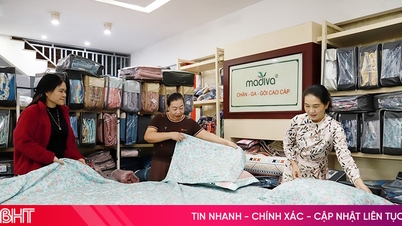 ប្រូម៉ូសិនពិសេសនៅ Phuong Thao: ពូក និងពូកទាំងអស់ បញ្ចុះតម្លៃរហូតដល់ 50%