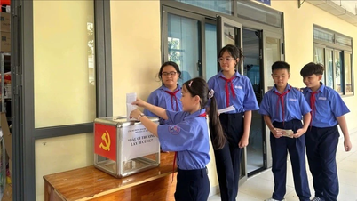 Alasan mengapa banyak sekolah di Kota Ho Chi Minh tidak menerima bunga pada tanggal 20 November