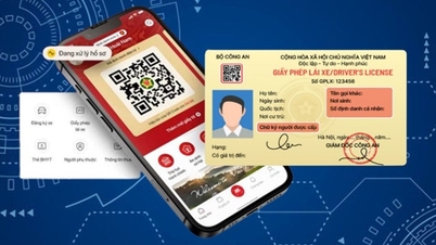 Maak het voor mensen makkelijker om hun rijbewijs om te zetten in een PET-kaart