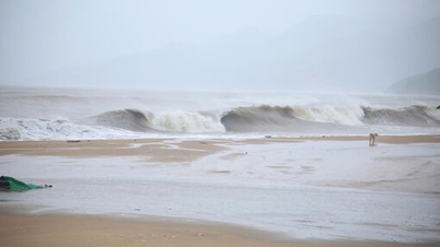 Počasí dnes 10. listopadu: Bouře Phoenix vplula do Východního moře, vlny dosahovaly výšky až 10 metrů