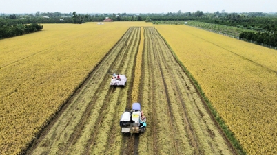 Dong Thap ទម្លាយ​តាម​រយៈ​បច្ចេកវិជ្ជា និង​ការ​បំប្លែង​ឌីជីថល