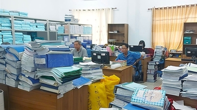 Ca Mau ដាក់ពង្រាយផែនការគ្រប់គ្រង កែសម្រួល និងធ្វើឌីជីថលឯកសារបណ្ណសារ