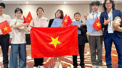 В'єтнамські студенти вибороли 5 медалей на Всесвітній юнацькій олімпіаді з фізики 2025 року