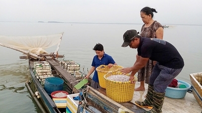 Pływanie po rzece w celu zarobku