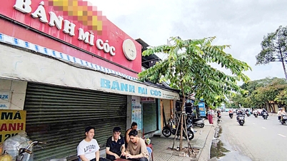 'İki hayır' ilkesi Vietnam ekmeğini güvende tutuyor