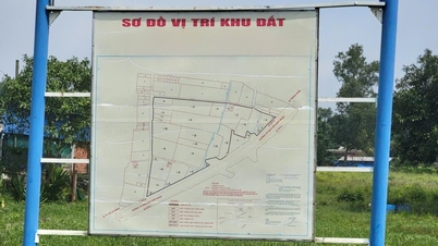 Bandar Ho Chi Minh: 54 plot tanah sedang memandu perumahan komersial