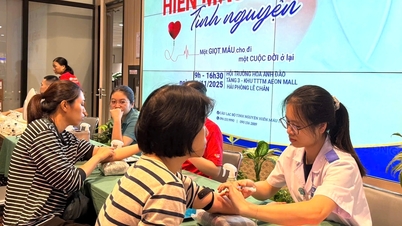 Ngày hội 'Giọt hồng nhân ái' tiếp nhận 459 đơn vị máu