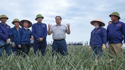 Pertanian dan alam sekitar dalam era baru