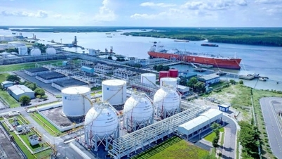 PV GAS tăng trưởng ấn tượng, tạo đà vững chắc cho năm 2026