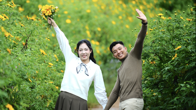 Wilde zonnebloemen kleuren het bergstadje geel, Da Lat in het mooiste seizoen van het jaar