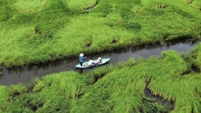 Πράσινα μέσα διαβίωσης στο Ραμσάρ Λανγκ Σεν