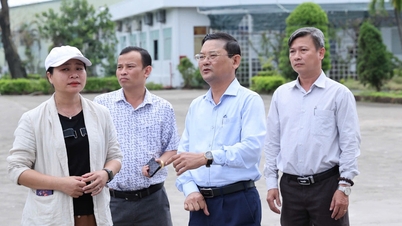 ທ່ານ​ຮອງ​ປະ​ທານ​ຄະ​ນະ​ກຳ​ມະ​ການ​ປະ​ຊາ​ຊົນ​ແຂວງ ຫງວຽນ​ຟູ໋​ຈ້ອງ ໄດ້​ລົງ​ກວດ​ກາ​ວຽກ​ງານ​ແກ້​ໄຂ​ຜົນ​ຮ້າຍ​ຢ້ອນ​ຫຼັງ​ຈາກ​ພະ​ຍຸ​ເລກ 13 ຢູ່​ເຂດ​ອຸດ​ສາ​ຫະ​ກຳ.