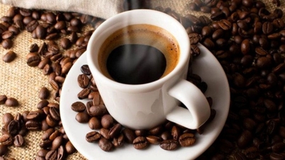 מחירי תוצרת חקלאית 10 בנובמבר 2025: קפה ופלפל נעים הצידה