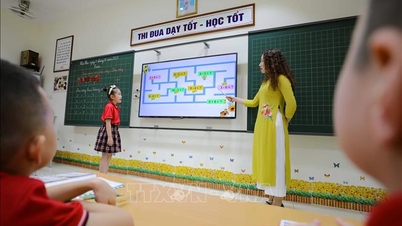 Ψηφιακός μετασχηματισμός - το θεμέλιο για τη βελτίωση της ποιότητας της εκπαίδευσης στην πρωτεύουσα