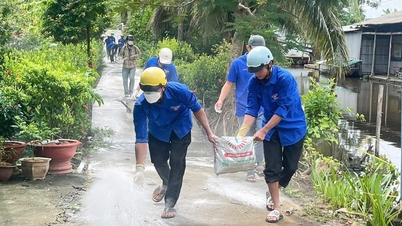Ένας μεγάλος αριθμός μελών συνδικάτων, φοιτητών και νέων συμμετείχε σε περιβαλλοντική απολύμανση για να γιορτάσει την Ημέρα Εθνικής Ενότητας.