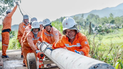 L'ensemble du réseau électrique de 110 kV affecté par la tempête n° 13 a été rétabli.