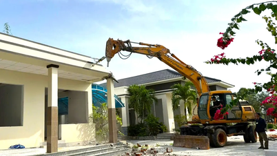 Récupération forcée d'environ 66 000 mètres carrés de terres empiétées dans les dunes de sable de Mui Ne