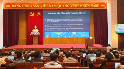Tập huấn nghiệp vụ và ứng dụng CNTT tổng điều tra kinh tế năm 2026