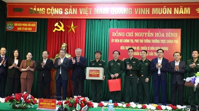 স্থায়ী উপ-প্রধানমন্ত্রী নগুয়েন হোয়া বিন কাউ ট্রিও আন্তর্জাতিক সীমান্ত গেট বর্ডার গার্ড স্টেশন পরিদর্শন করেছেন