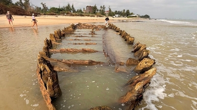 ক্যাম অ্যান প্রাচীন জাহাজের জরুরি খননের প্রস্তাব
