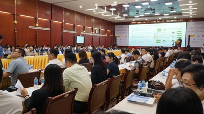 אופטימיזציה של מערכות סולאריות ואחסון אנרגיה