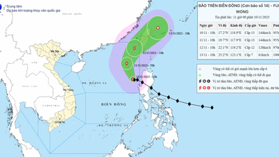 13 plaatsen verzocht schepen te begeleiden om storm nummer 14 te vermijden