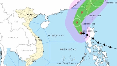Kustprovincies van Quang Ninh tot Dak Lak moeten proactief reageren op storm nr. 14.