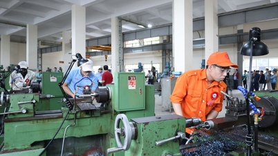 Verbreitung beruflicher Fähigkeiten aus dem Wettbewerb für Fachkräfte in der Hauptstadt